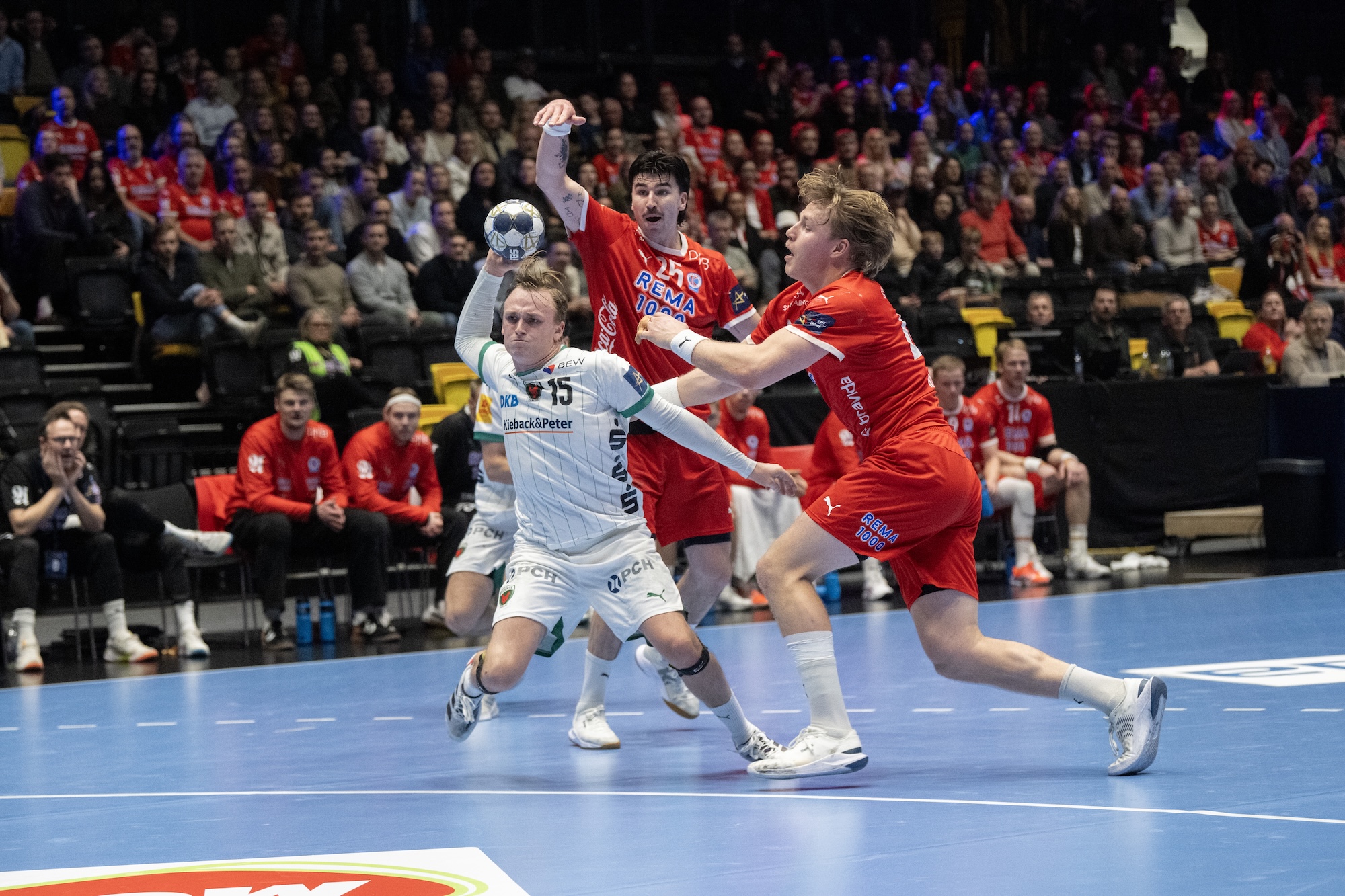 20250412 Kolstad Fuchse Berlin 36