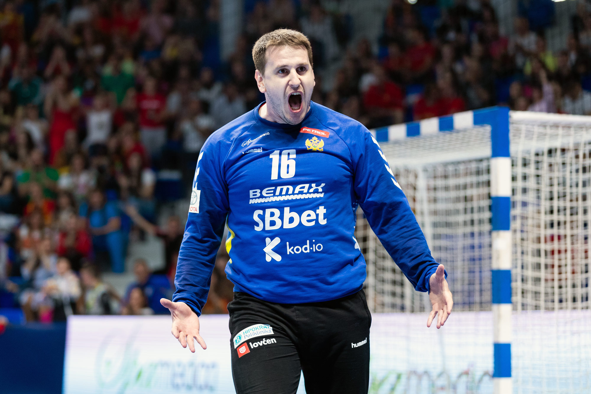 Five previous champions, three debutants and one draw