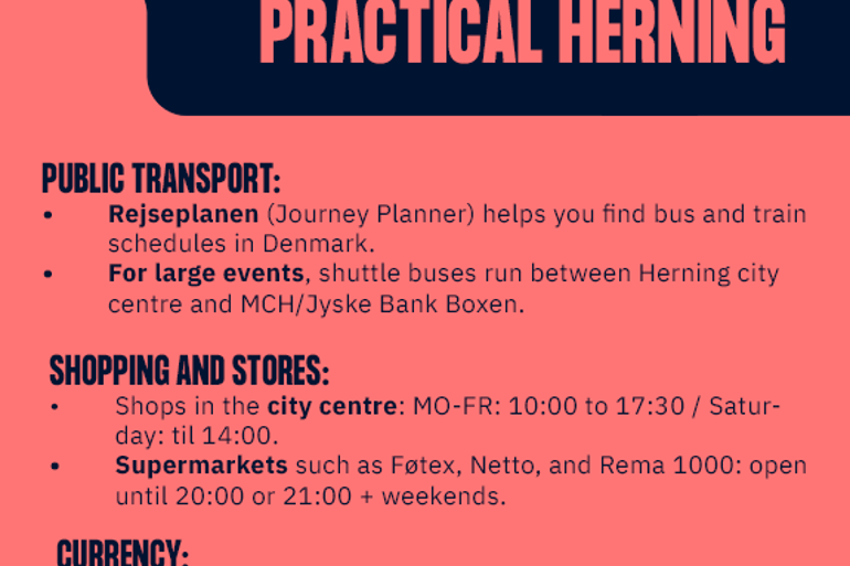 Herning Tips Website 1