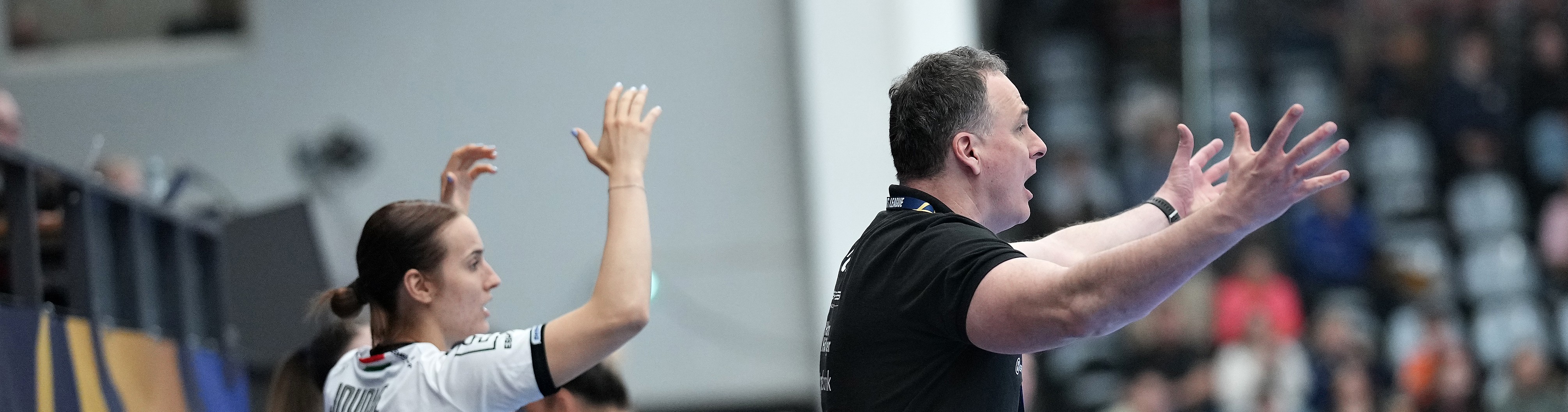 20260329 ODE DVS 00041